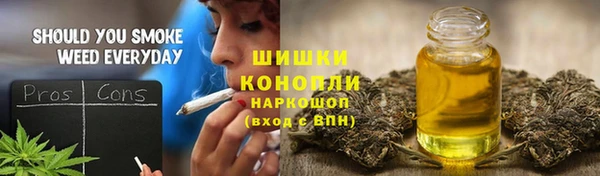 МДПВ Краснослободск