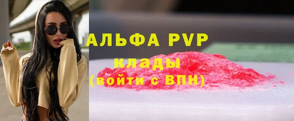 МДПВ Краснослободск