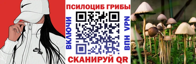Псилоцибиновые грибы мухоморы  Купить закладки  Каменск-Шахтинский 